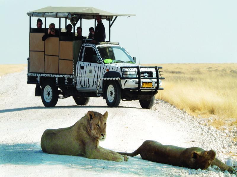 Villa Gondwana Etosha Safari Camp Okaukuejo Esterno foto